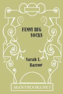Funny Big Socks by Sarah L. Barrow
