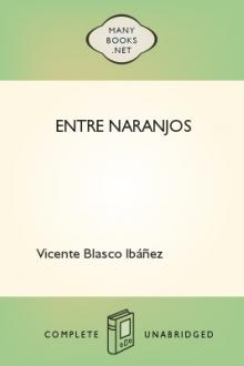 Entre naranjos by Vicente Blasco Ibáñez