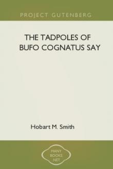 The Tadpoles of Bufo cognatus Say by Hobart M. Smith