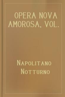 Opera nova amorosa, vol. 2 by Napolitano Notturno