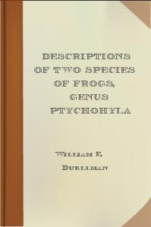 Descriptions of Two Species of Frogs, Genus Ptychohyla by William E. Duellman