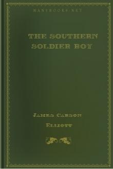 The Southern Soldier Boy by James Carson Elliott