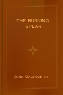 The Burning Spear by John Galsworthy