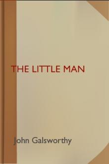 The Little Man by John Galsworthy