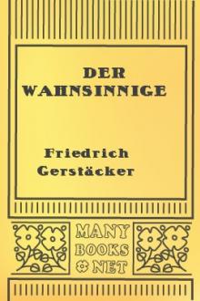Der Wahnsinnige by Friedrich Gerstäcker