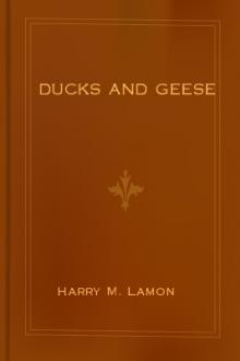 Ducks and Geese by Harry M. Lamon, Rob R. Slocum