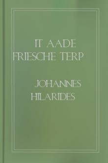 It aade Friesche Terp by Johannes Hilarides