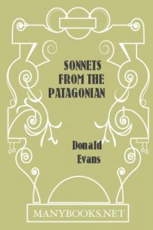 Sonnets from the Patagonian by Donald Evans