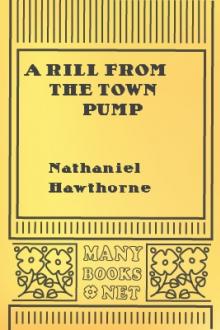 A Rill from the Town Pump by Nathaniel Hawthorne