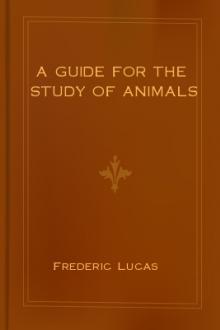 A Guide for the Study of Animals by Mabel Elizabeth Smallwood, Frederic Colby Lucas, Harold Brough Shinn, Worrallo Whitney