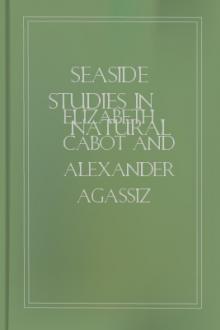 Seaside Studies in Natural History by Elizabeth Cabot Cary Agassiz, Alexander Agassiz