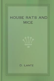House Rats and Mice by D. Lantz