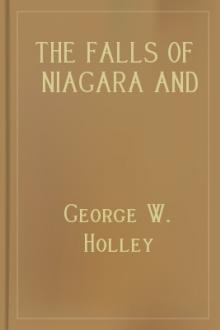 The Falls of Niagara and Other Famous Cataracts by George W. Holley