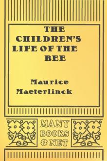 The Children's Life of the Bee by Maurice Maeterlinck