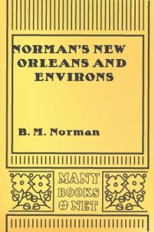 Norman's New Orleans and Environs by B. M. Norman