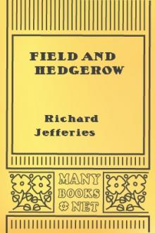 Field and Hedgerow by Richard Jefferies