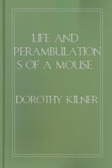 Life and Perambulations of a Mouse by Dorothy Kilner