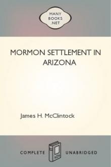 Mormon Settlement in Arizona by James H. McClintock