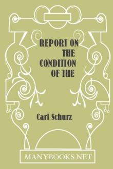 Report on the Condition of the South by Carl Schurz