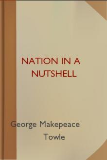 Nation in a Nutshell  by George Makepeace Towle