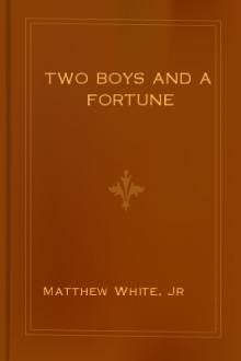 Two Boys and a Fortune by Jr Matthew White