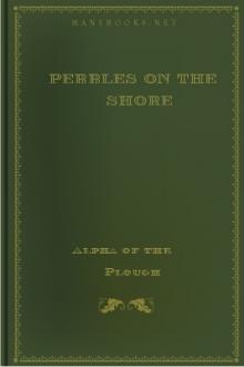 Pebbles on the Shore by Alpha of the Plough