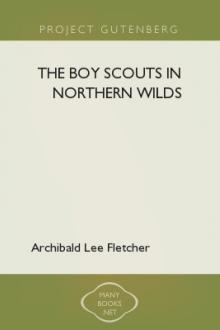 The Boy Scouts in Northern Wilds by Archibald Lee Fletcher