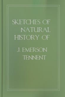 Sketches of Natural History of Ceylon by Sir Tennent James Emerson