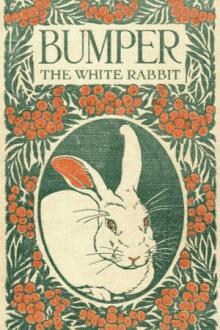 Bumper, The White Rabbit by George Ethelbert Walsh