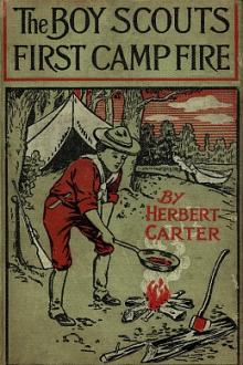The Boy Scouts' First Camp Fire by Herbert Carter