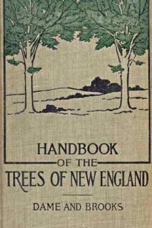 Handbook of the Trees of New England by Lorin Low Dame, Henry M. Brooks