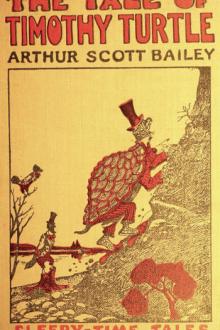 The Tale of Timothy Turtle by Arthur Scott Bailey