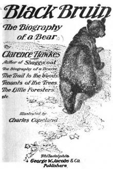Black Bruin by Clarence Hawkes