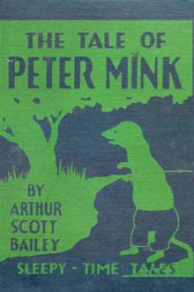 The Tale of Peter Mink by Arthur Scott Bailey