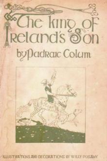 The King of Ireland's Son by Padraic Colum
