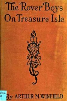 The Rover Boys on Treasure Isle by Edward Stratemeyer
