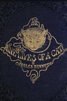 The Nine Lives of A Cat by Charles H. Bennett