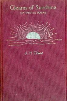 Gleams of Sunshine by Joseph Horatio Chant