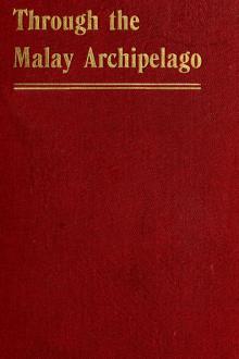 Through the Malay Archipelago by Emily Richings