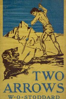 Two Arrows by William O. Stoddard