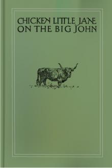 Chicken Little Jane on the Big John by Lily Munsell Ritchie