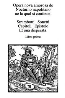 Opera nova amorosa, vol. 1 by Napolitano Notturno