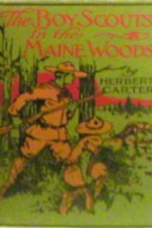 The Boy Scouts in the Maine Woods by active 1909-1917 Carter Herbert