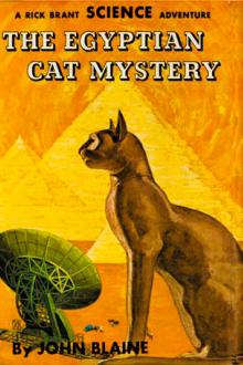 The Egyptian Cat Mystery by Harold Leland Goodwin