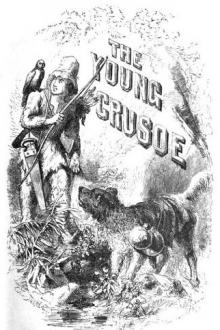 The Young Crusoe by Barbara Hofland