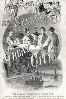 The Secrets of the Great City by Edward Winslow Martin