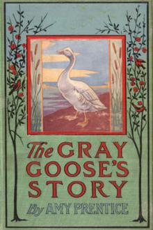 The Gray Goose's Story by Amy Prentice