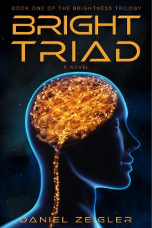 Bright Triad: a novel