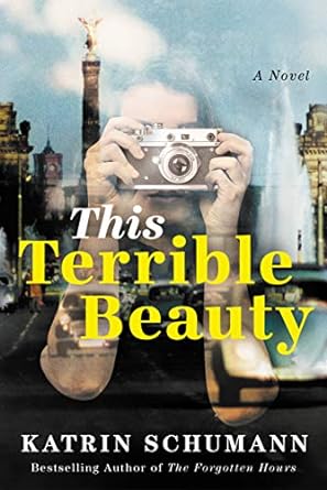 Terrible Beauty cover