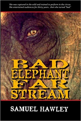 Bad Elephant Far Stream by Samuel Hawley